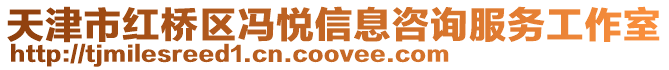 天津市紅橋區馮悅信息咨詢服務工作室