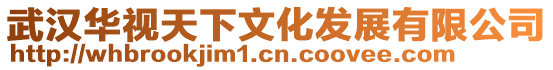 武漢華視天下文化發展有限公司