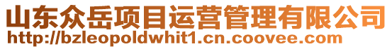 山東眾岳項目運營管理有限公司
