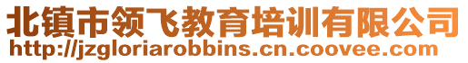 北鎮(zhèn)市領(lǐng)飛教育培訓(xùn)有限公司