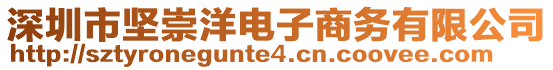 深圳市堅崇洋電子商務(wù)有限公司