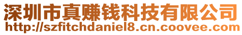 深圳市真賺錢科技有限公司