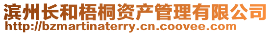 濱州長和梧桐資產(chǎn)管理有限公司
