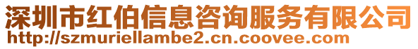 深圳市紅伯信息咨詢服務(wù)有限公司