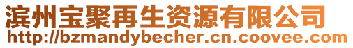 濱州寶聚再生資源有限公司