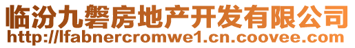 臨汾九磐房地產開發有限公司
