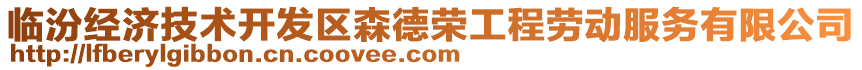臨汾經(jīng)濟(jì)技術(shù)開發(fā)區(qū)森德榮工程勞動(dòng)服務(wù)有限公司