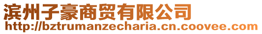 濱州子豪商貿有限公司
