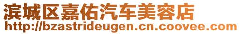 濱城區(qū)嘉佑汽車美容店