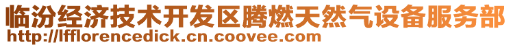 臨汾經(jīng)濟(jì)技術(shù)開(kāi)發(fā)區(qū)騰燃天然氣設(shè)備服務(wù)部