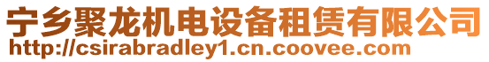 寧鄉(xiāng)聚龍機(jī)電設(shè)備租賃有限公司
