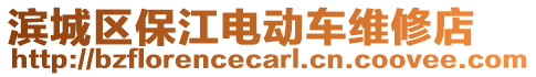 濱城區(qū)保江電動車維修店