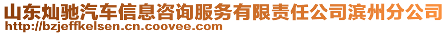 山東燦馳汽車(chē)信息咨詢服務(wù)有限責(zé)任公司濱州分公司