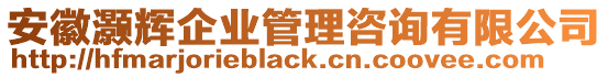 安徽灝輝企業(yè)管理咨詢有限公司