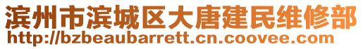 濱州市濱城區(qū)大唐建民維修部