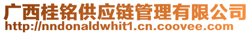 廣西桂銘供應(yīng)鏈管理有限公司