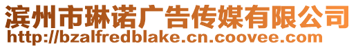 濱州市琳諾廣告?zhèn)髅接邢薰? style=