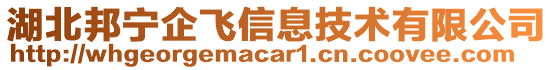 湖北邦寧企飛信息技術(shù)有限公司