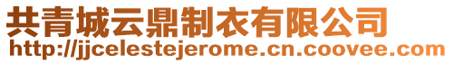 共青城云鼎制衣有限公司