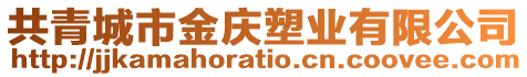 共青城市金慶塑業(yè)有限公司