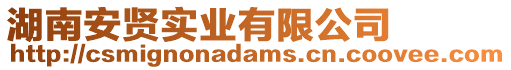 湖南安賢實(shí)業(yè)有限公司