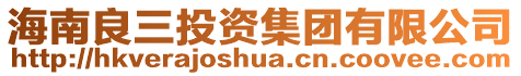 海南良三投資集團(tuán)有限公司