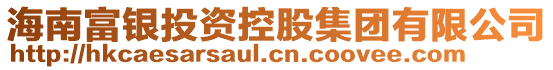 海南富銀投資控股集團有限公司