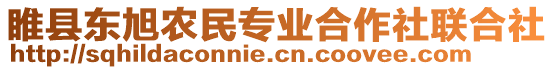 睢縣東旭農(nóng)民專業(yè)合作社聯(lián)合社