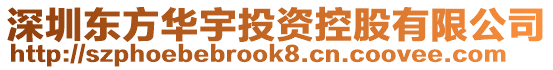 深圳東方華宇投資控股有限公司