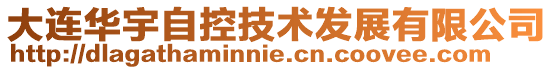 大連華宇自控技術發展有限公司