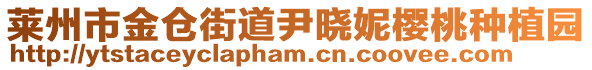 萊州市金倉街道尹曉妮櫻桃種植園