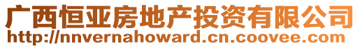 廣西恒亞房地產(chǎn)投資有限公司