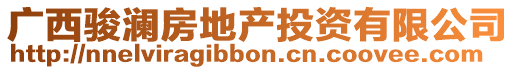 廣西駿瀾房地產投資有限公司