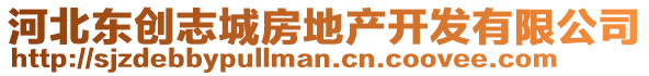 河北東創(chuàng)志城房地產(chǎn)開(kāi)發(fā)有限公司