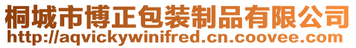 桐城市博正包裝制品有限公司