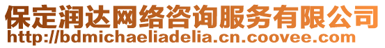 保定潤達網絡咨詢服務有限公司