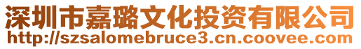 深圳市嘉璐文化投資有限公司