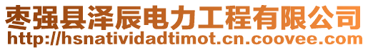 棗強縣澤辰電力工程有限公司