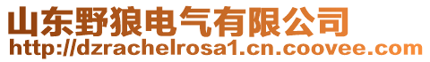 山東野狼電氣有限公司