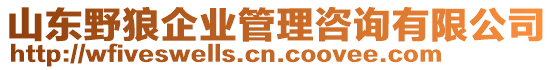 山東野狼企業(yè)管理咨詢有限公司