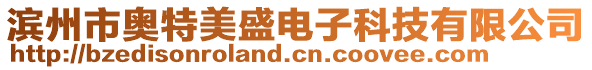 濱州市奧特美盛電子科技有限公司