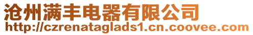 滄州滿豐電器有限公司