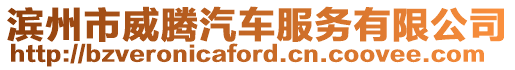 濱州市威騰汽車服務有限公司