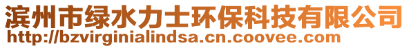 濱州市綠水力士環保科技有限公司