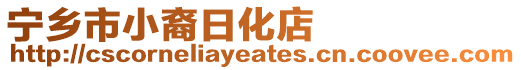 寧鄉市小裔日化店