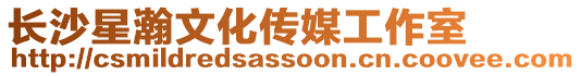 長(zhǎng)沙星瀚文化傳媒工作室
