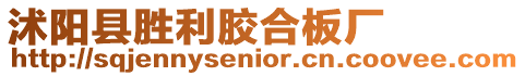 沭陽縣勝利膠合板廠