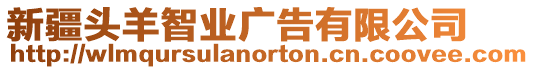 新疆頭羊智業(yè)廣告有限公司