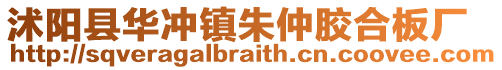 沭陽縣華沖鎮朱仲膠合板廠