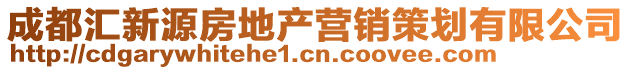 成都匯新源房地產(chǎn)營(yíng)銷策劃有限公司